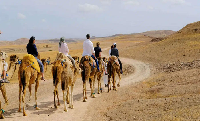 Excursión de un día al Desierto de Agafay con paseo en camello